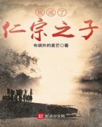 我成了仁宗之子txt百度云