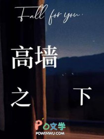 高墙是什么意思
